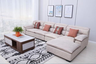 南方家居小课堂 布艺面料 皮革护理小妙招